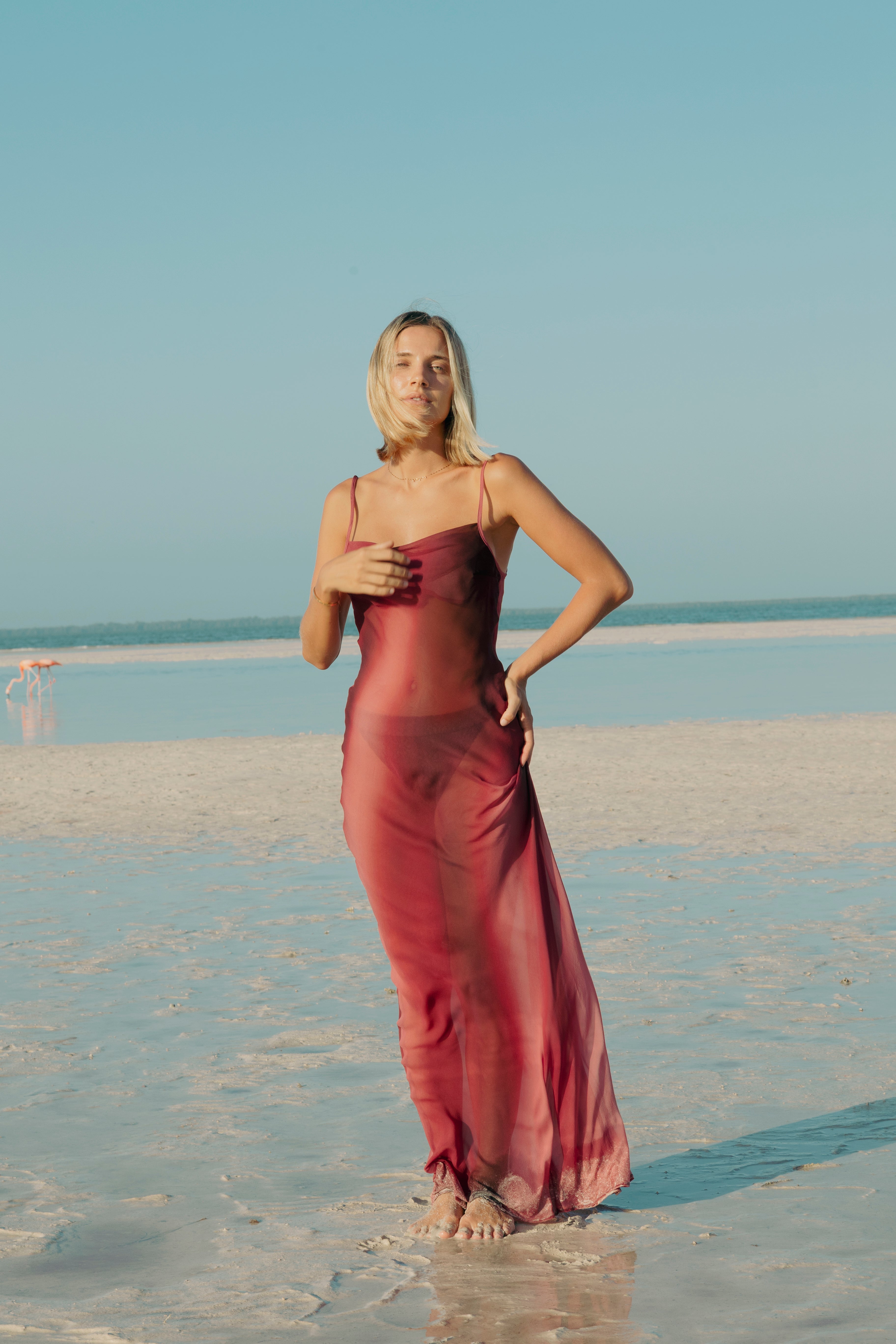Silk Iside Dress