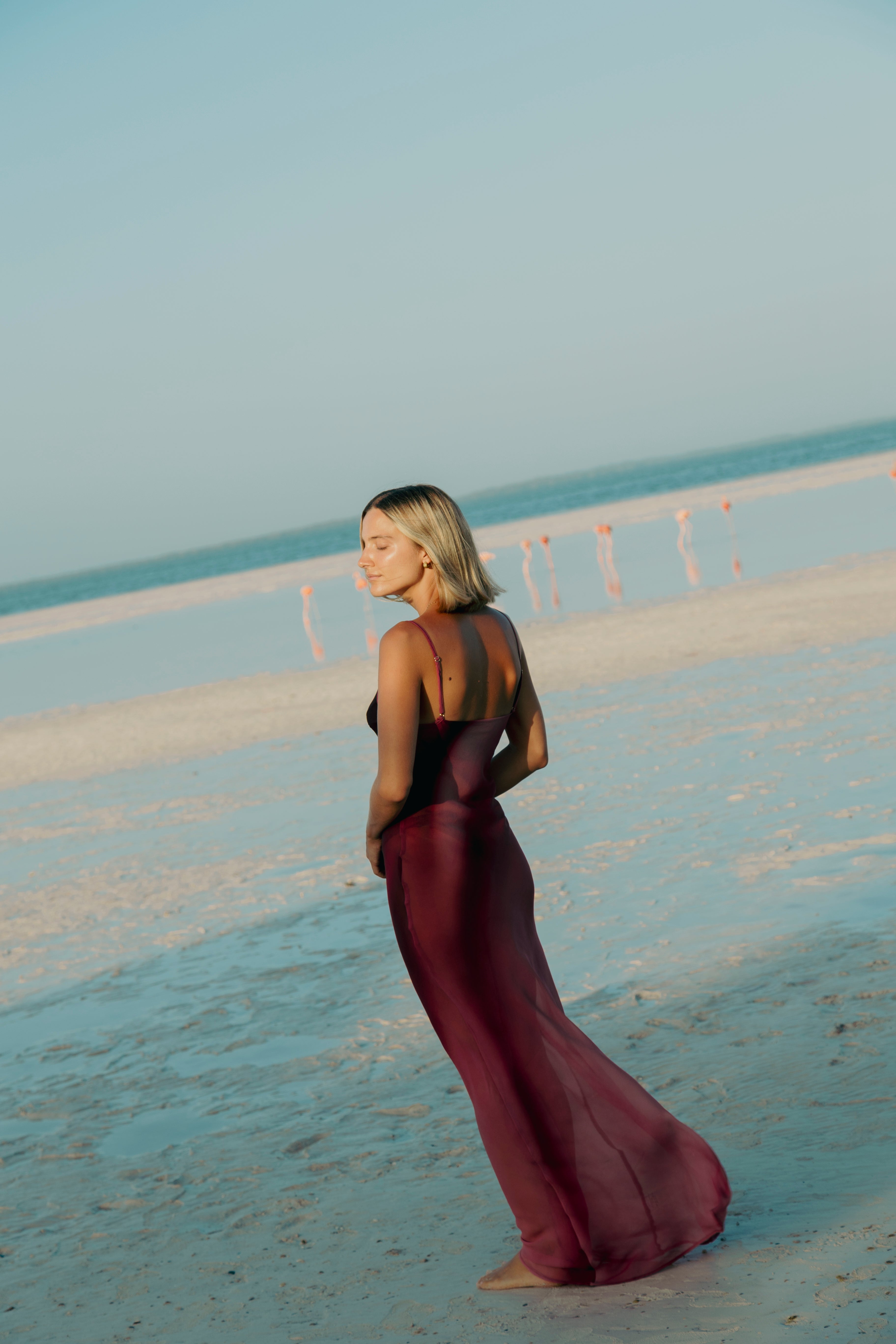 Silk Iside Dress