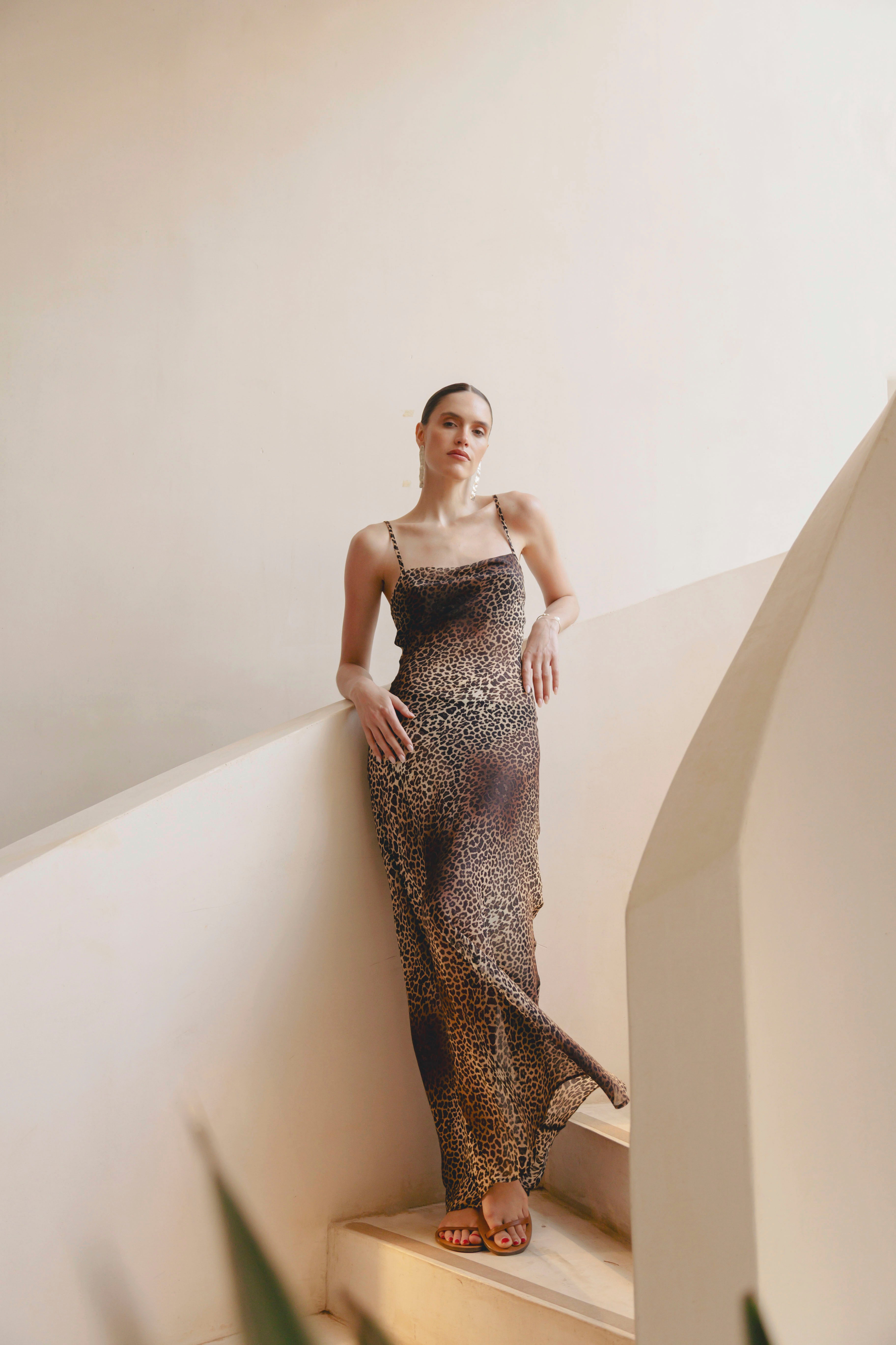 Silk Iside Dress