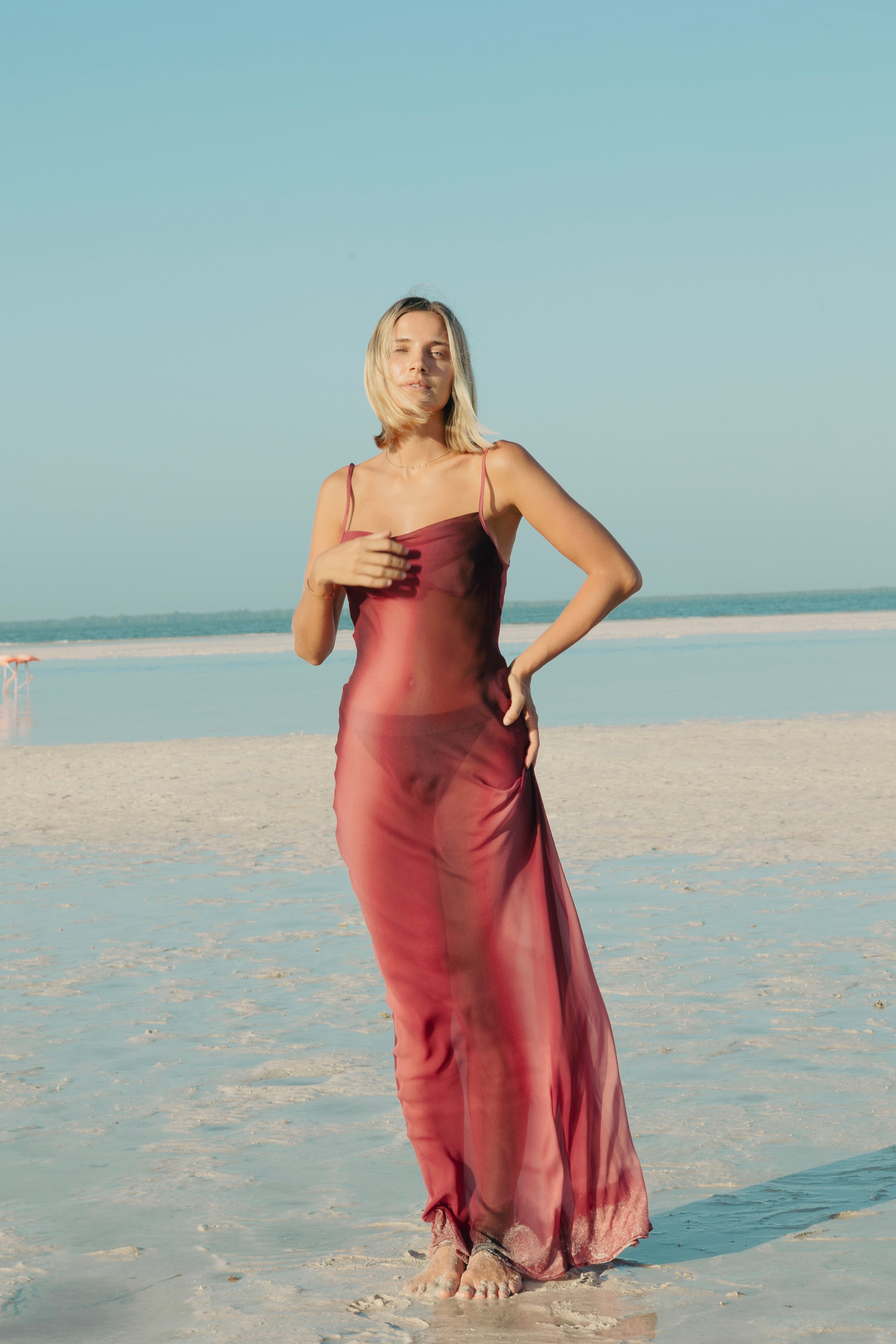 Hibiscus Silk Iside Dress